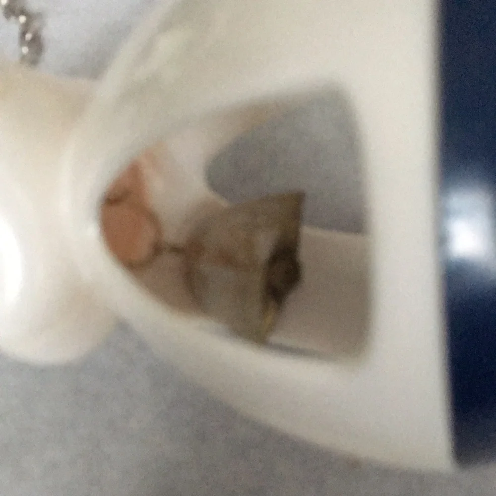 Small Animal Hanging Toy with Bell